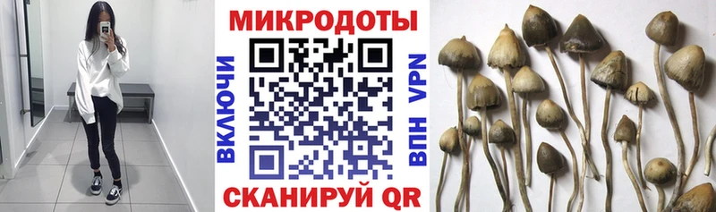 Галлюциногенные грибы MAGIC MUSHROOMS  Холм 